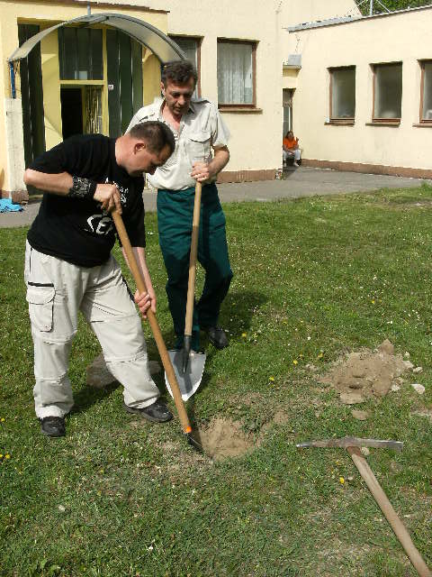 Stavanie mája 2013