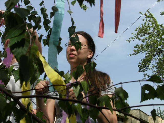 Stavanie mája 2013