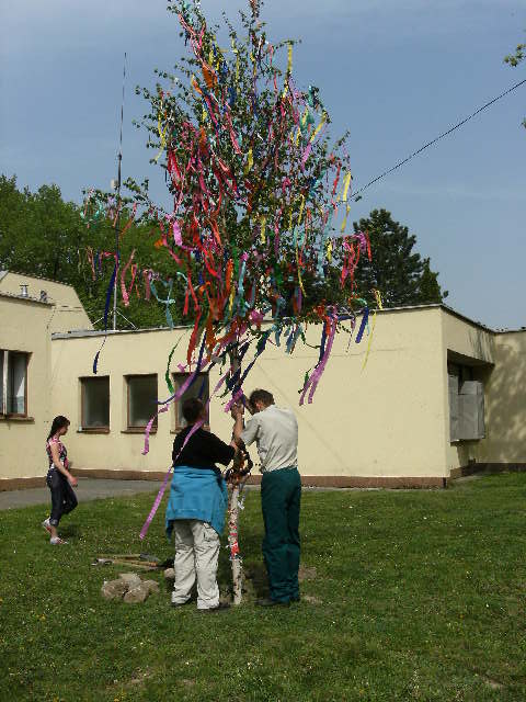 Stavanie mája 2013