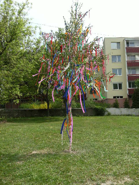 Stavanie mája 2013